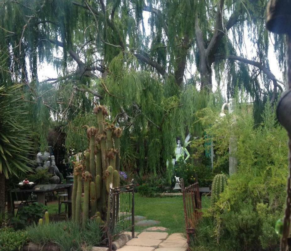 Magic Garden * Calvinia